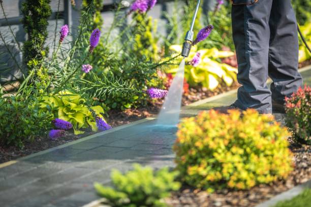 Winterizing Services in Dade City, FL
