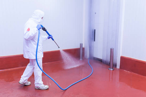 Best Playground Equipment Cleaning  in Dade City, FL